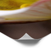 Nationaal Park Capitol Reef, Utah, Verenigde State Poster (Hoek)