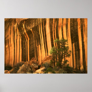 Nationaal park Capitol Reef Verenigde Staten, Utah Poster