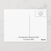 Nationaal park Chankanaab in Cozumel Briefkaart (Achterkant)