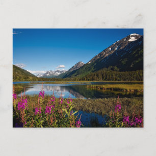 Nationaal park Chugach in het Alaska-gebergte Briefkaart