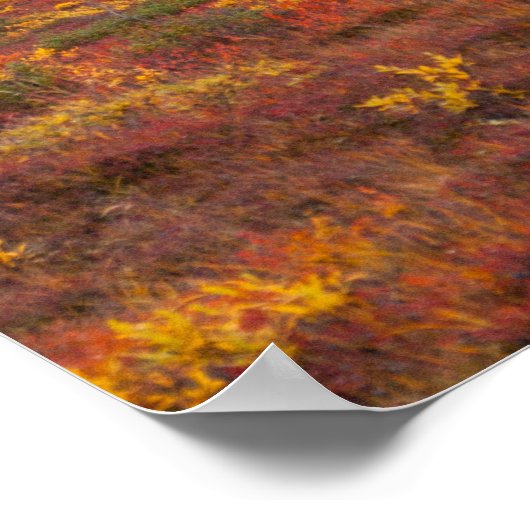 Nationaal Park Denali, Alaska in het Schilderachti Poster (Hoek)