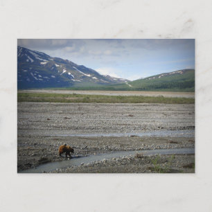 Nationaal Park Denali en Preserve, Alaska Briefkaart