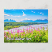 Nationaal Park Denali en Preserve, Alaska Briefkaart (Voorkant)