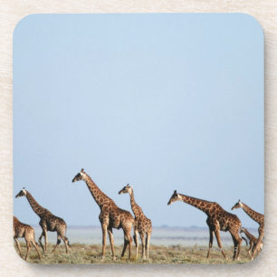 Nationaal park Etosha, Namibië 2 Drankjes Onderzetter