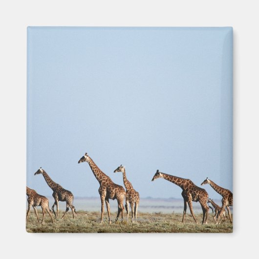 Nationaal park Etosha, Namibië 2 Magneet (Voorkant)