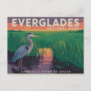 Nationaal park Everglades Briefkaart