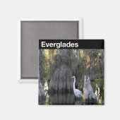 Nationaal park Everglades Magneet (Voorkant / Achterkant)