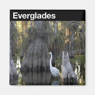 Nationaal park Everglades Magneet
