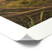 Nationaal Park  Everglades Poster (Hoek)