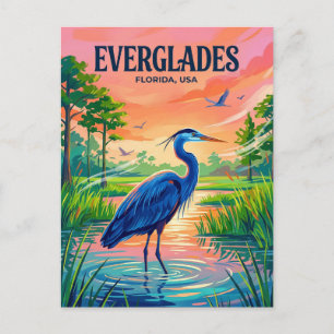 Nationaal park Everglades VS Briefkaart