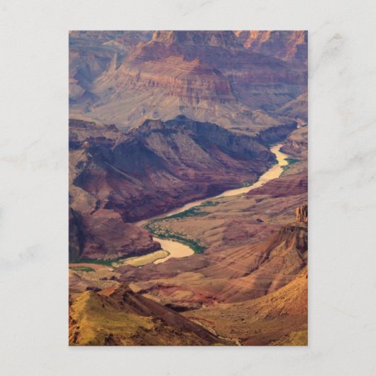 Nationaal park Grand Canyon Briefkaart (Voorkant)