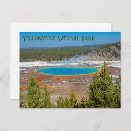 Nationaal park Grand Prismatic Spring Yellowstone Briefkaart (Voorkant / Achterkant)