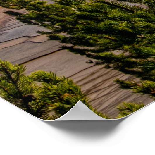 Nationaal park Grand Prismatic Spring Yellowstone Poster (Hoek)