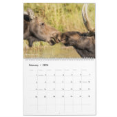 Nationaal park Grand Teton Kalender (Feb 2026)
