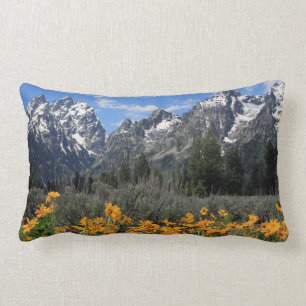 Nationaal park Grand Teton Kussen