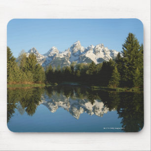 Nationaal park Grand Teton, Teton Range, Wyoming Muismat