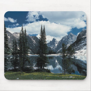 Nationaal park Grand Teton, Wyoming Muismat