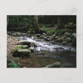 Nationaal park Great Smoky Mountains Briefkaart