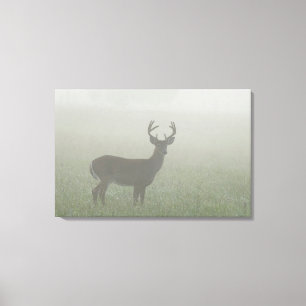 Nationaal Park Great Smoky Mountains, Tennesse Canvas Afdruk