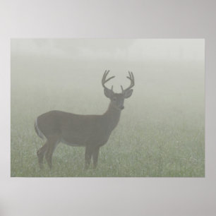 Nationaal Park Great Smoky Mountains, Tennesse Poster