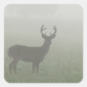 Nationaal Park Great Smoky Mountains, Tennesse Vierkante Sticker