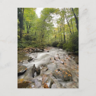 Nationaal park Great Smoky Mountains, Tennessee Briefkaart