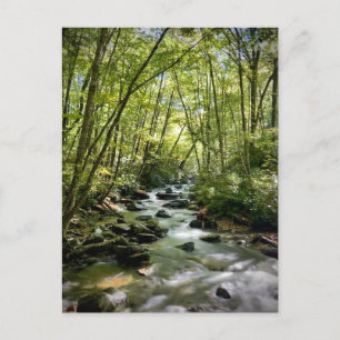 Nationaal park Great Smoky Mountains, Tennessee Briefkaart