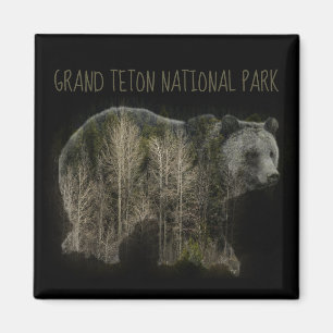 Nationaal park Grizzly Forest Grand Teton Magneet