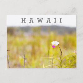 Nationaal park Hawaii Tropical Orchid Volcanoes Briefkaart