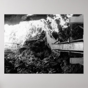 Nationaal park Hawaii, Uitzicht van een Lava Tube Poster