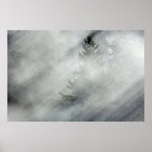 Nationaal Park   Hoh River Valley Poster