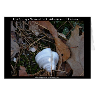 Nationaal park Hot Springs, AR - Ice Ornament Gift