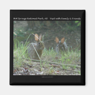 Nationaal park Hot Springs, AR Wild Rabbits Gifts Magneet