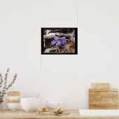 Nationaal park Hot Springs, AR Wild Violet Poster (Keuken)