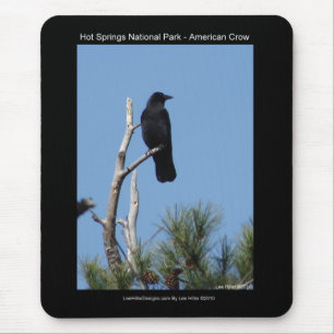 Nationaal park Hots Springs, AR - American Crow Muismat
