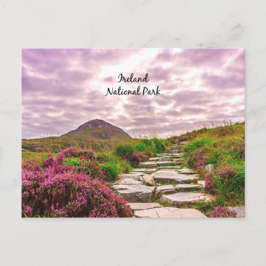 Nationaal Park Ierland Briefkaart (Voorkant)