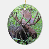 Nationaal Park Isle Royale Keramisch Ornament (Links)
