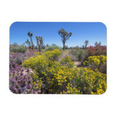 Nationaal park Joshua in Bloom Magneet (Horizontaal)