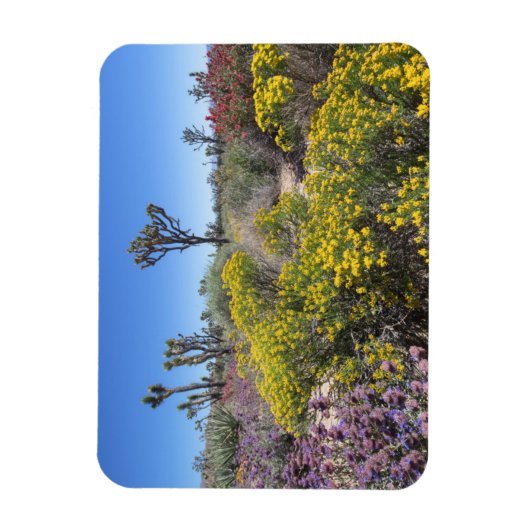 Nationaal park Joshua in Bloom Magneet (Verticaal)