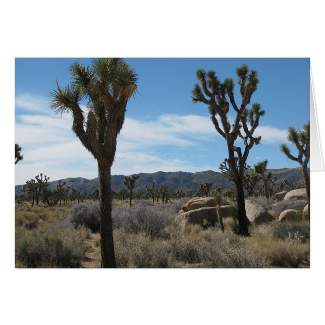 Nationaal park Joshua Tree (Voorkant Horizontaal)