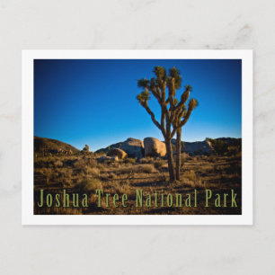 Nationaal park Joshua Tree Briefkaart