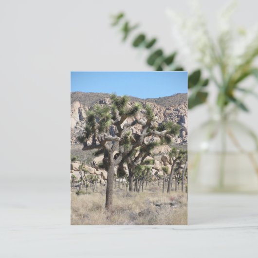 Nationaal park Joshua Tree Briefkaart (Staand voorkant)