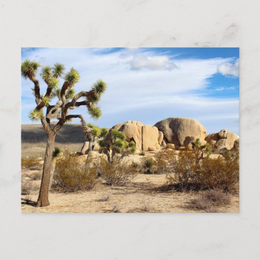 Nationaal park Joshua Tree Briefkaart (Voorkant)
