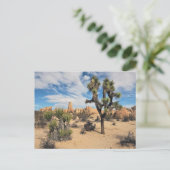 Nationaal park Joshua Tree Briefkaart (Staand voorkant)