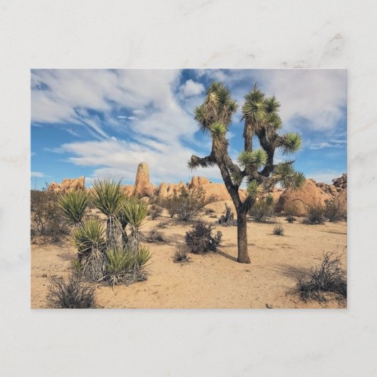 Nationaal park Joshua Tree Briefkaart (Voorkant)