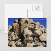 Nationaal park Joshua Tree Briefkaart (Voorkant / Achterkant)