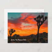 Nationaal park Joshua Tree Briefkaart (Voorkant / Achterkant)