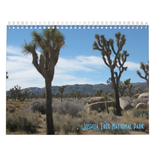 Nationaal park Joshua Tree Kalender (Hoes)