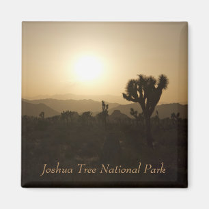 Nationaal park Joshua Tree Magneet
