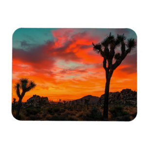 Nationaal park Joshua Tree Magneet